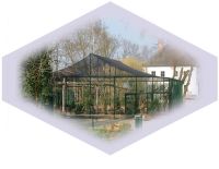 Vogelnet-4.jpg